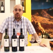 Video sobre nuestros vinos